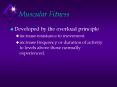 Muscular Fitness PowerPoint PPT Presentation