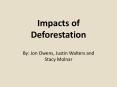 Impacts of Deforestation PowerPoint PPT Presentation