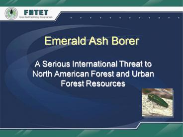 Emerald Ash Borer