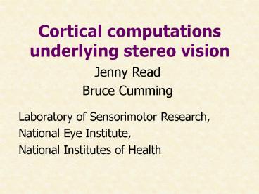 Cortical computations underlying stereo vision
