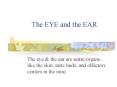 The EYE and the EAR PowerPoint PPT Presentation