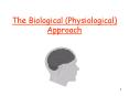 The Biological Physiological Approach PowerPoint PPT Presentation