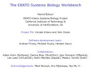 The ERATO Systems Biology Workbench