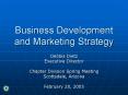 Business Development and Marketing Strategy PowerPoint PPT Presentation