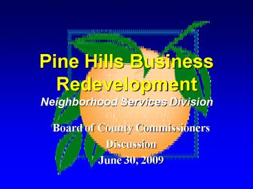 Pine Hills Business Redevelopment Neighborhood Services Division