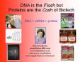 DNA is the Flash but Proteins are the Cash of Biotech PowerPoint PPT Presentation