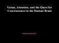 Vision, Attention, and the Quest for Consciousness in the Human Brain PowerPoint PPT Presentation
