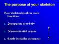 The purpose of your skeleton PowerPoint PPT Presentation