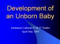 Development of an Unborn Baby PowerPoint PPT Presentation