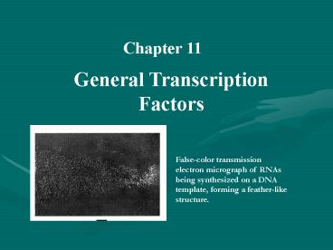 General Transcription Factors