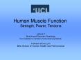 Muscle Fatigue PowerPoint PPT Presentation