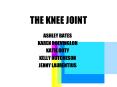 THE KNEE JOINT PowerPoint PPT Presentation