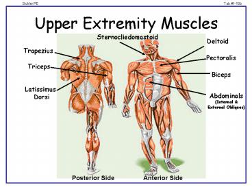 presentation player overlay
