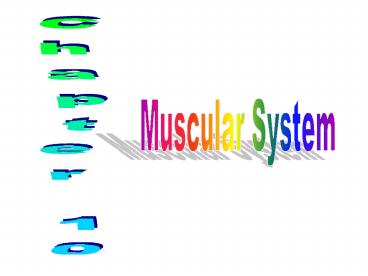 Muscular System