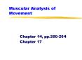 Muscular Analysis of Movement PowerPoint PPT Presentation