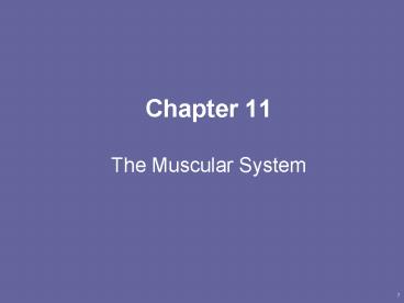 PPT – Chapter 11 The Muscular System PowerPoint presentation | free to ...