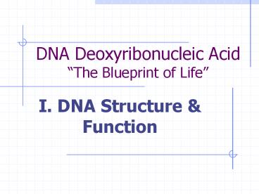 DNA Deoxyribonucleic Acid The Blueprint of Life