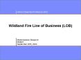 Wildland Fire Line of Business LOB PowerPoint PPT Presentation