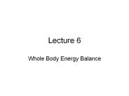 Whole Body Energy Balance