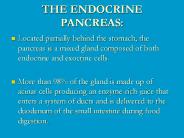 THE ENDOCRINE PANCREAS: