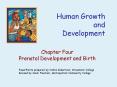 Human Growth and Development PowerPoint PPT Presentation