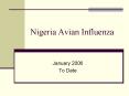 Nigeria Avian Influenza PowerPoint PPT Presentation