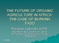 THE FUTURE OF ORGANIC AGRICULTURE IN AFRICA: THE CASE OF BURKINA FASO PowerPoint PPT Presentation