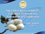 Cotton Sector in the OIC Countries