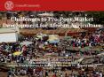 Challenges to ProPoor Market Development for African Agriculture PowerPoint PPT Presentation