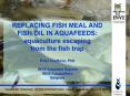 REPLACING FISH MEAL AND FISH OIL IN AQUAFEEDS: aquaculture escaping from the fish trap Peter Coutteau, PhD  INVE Aquafeed Experts INVE Aquaculture Belgium PowerPoint PPT Presentation
