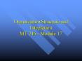 Organization Structure and Integration MT 246 Module 17 PowerPoint PPT Presentation
