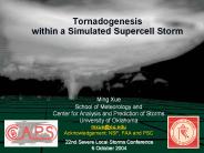 Tornadogenesis within a Simulated Supercell Storm