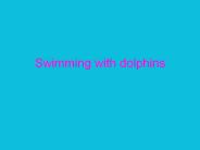 Swimming with dolphins