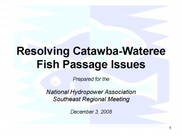 Resolving CatawbaWateree Fish Passage Issues