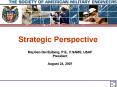 Strategic Perspective PowerPoint PPT Presentation