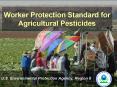 Worker Protection Standard for Agricultural Pesticides PowerPoint PPT Presentation