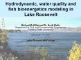 Hydrodynamic, water quality and fish bioenergetics modeling in Lake Roosevelt PowerPoint PPT Presentation