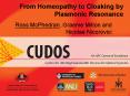 From Homeopathy to Cloaking by Plasmonic Resonance PowerPoint PPT Presentation