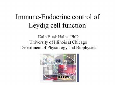 ImmuneEndocrine control of Leydig cell function