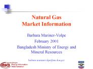 Natural Gas Market Information