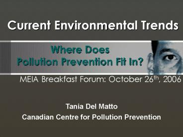 Where Does Pollution Prevention Fit In