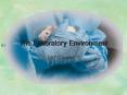 The Laboratory Environment PowerPoint PPT Presentation