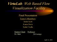 VirtuLab: Web Based Flow Visualization Facility