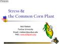 Stress PowerPoint PPT Presentation