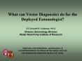 What can Vector Diagnostics do for the Deployed Entomologist PowerPoint PPT Presentation