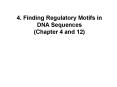 4. Finding Regulatory Motifs in DNA Sequences (Chapter 4 and 12) PowerPoint PPT Presentation