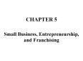 Small Business, Entrepreneurship, and Franchising PowerPoint PPT Presentation