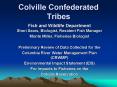 Colville Confederated Tribes PowerPoint PPT Presentation