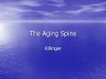The Aging Spine PowerPoint PPT Presentation