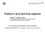 Platform and terminal aspects